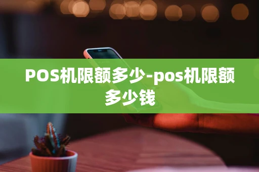重庆POS机限额多少-pos机限额多少钱-第1张图片-点点富足 重庆POS机限额多少-pos机限额多少钱-第1张图片-点点富足