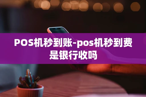 重庆POS机秒到账-pos机秒到费是银行收吗-第1张图片-点点富足 重庆POS机秒到账-pos机秒到费是银行收吗-第1张图片-点点富足