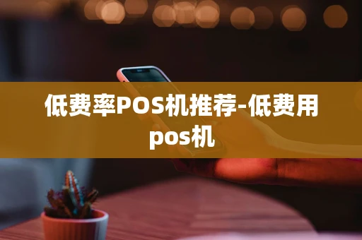 重庆低费率POS机推荐-低费用pos机-第1张图片-点点富足