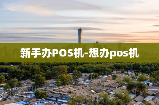 重庆新手办POS机-想办pos机-第1张图片-点点富足