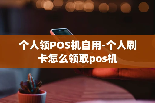 重庆个人领POS机自用-个人刷卡怎么领取pos机-第1张图片-点点富足