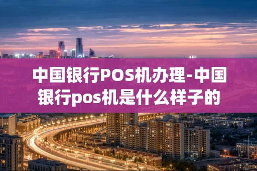 重庆中国银行POS机办理-中国银行pos机是什么样子的-第1张图片-点点富足