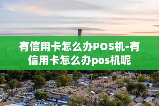 重庆有信用卡怎么办POS机-有信用卡怎么办pos机呢-第1张图片-点点富足 重庆有信用卡怎么办POS机-有信用卡怎么办pos机呢-第1张图片-点点富足