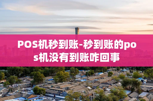 重庆POS机秒到账-秒到账的pos机没有到账咋回事-第1张图片-点点富足