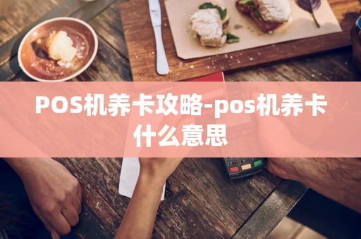 重庆POS机养卡攻略-pos机养卡什么意思-第1张图片-点点富足