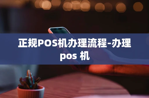 重庆正规POS机办理流程-办理pos 机-第1张图片-点点富足