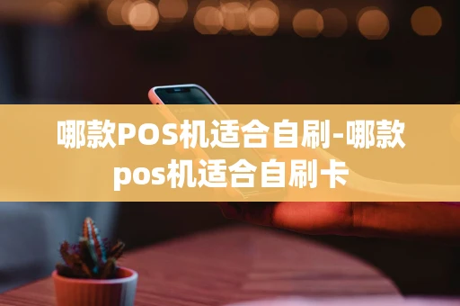 重庆哪款POS机适合自刷-哪款pos机适合自刷卡-第1张图片-点点富足 重庆哪款POS机适合自刷-哪款pos机适合自刷卡-第1张图片-点点富足