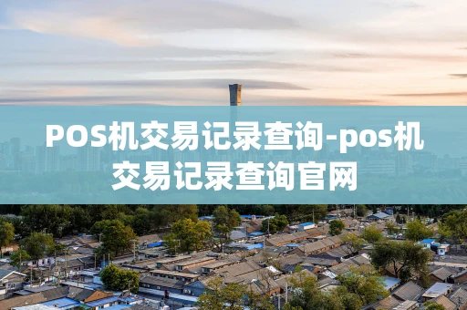 重庆POS机交易记录查询-pos机交易记录查询官网-第1张图片-点点富足