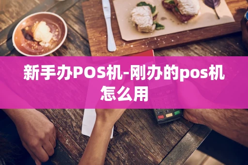 重庆新手办POS机-刚办的pos机怎么用-第1张图片-点点富足