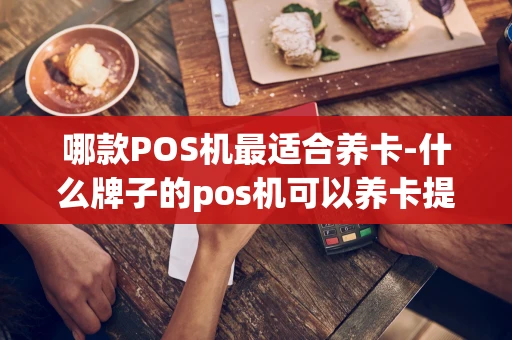 重庆哪款POS机最适合养卡-什么牌子的pos机可以养卡提额-第1张图片-点点富足