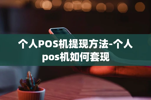 重庆个人POS机提现方法-个人pos机如何套现-第1张图片-点点富足