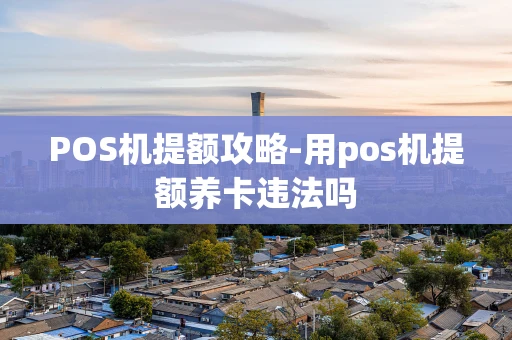 重庆POS机提额攻略-用pos机提额养卡违法吗-第1张图片-点点富足 重庆POS机提额攻略-用pos机提额养卡违法吗-第1张图片-点点富足