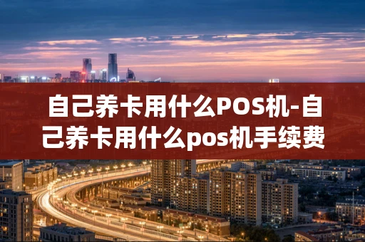 重庆自己养卡用什么POS机-自己养卡用什么pos机手续费-第1张图片-点点富足