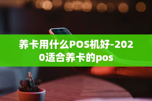 重庆养卡用什么POS机好-2020适合养卡的pos-第1张图片-点点富足