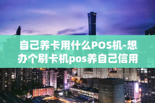 重庆自己养卡用什么POS机-想办个刷卡机pos养自己信用卡哪个好-第1张图片-点点富足