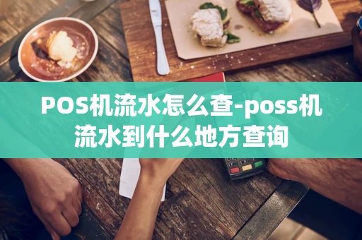 重庆POS机流水怎么查-poss机流水到什么地方查询-第1张图片-点点富足 重庆POS机流水怎么查-poss机流水到什么地方查询-第1张图片-点点富足
