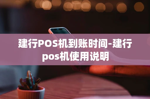 重庆建行POS机到账时间-建行pos机使用说明-第1张图片-点点富足