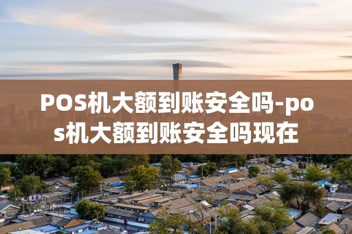 重庆POS机大额到账安全吗-pos机大额到账安全吗现在-第1张图片-点点富足