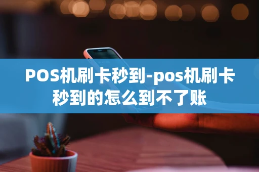 重庆POS机刷卡秒到-pos机刷卡秒到的怎么到不了账-第1张图片-点点富足