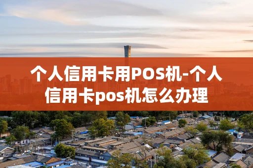 重庆个人信用卡用POS机-个人信用卡pos机怎么办理-第1张图片-点点富足