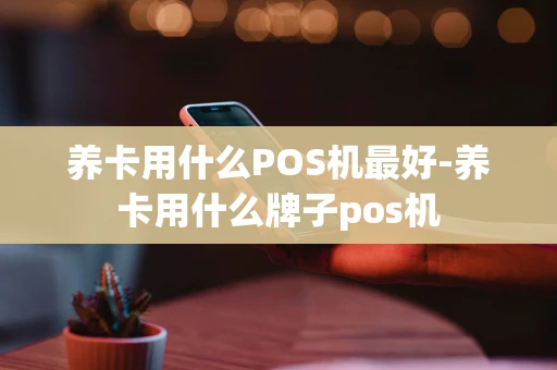重庆养卡用什么POS机最好-养卡用什么牌子pos机-第1张图片-点点富足