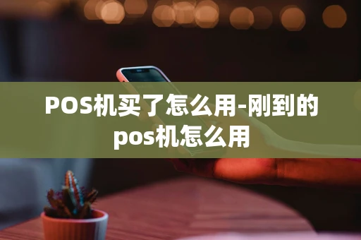 重庆POS机买了怎么用-刚到的pos机怎么用-第1张图片-点点富足