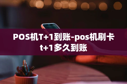 重庆POS机T+1到账-pos机刷卡t+1多久到账-第1张图片-点点富足
