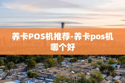 重庆养卡POS机推荐-养卡pos机哪个好-第1张图片-点点富足 重庆养卡POS机推荐-养卡pos机哪个好-第1张图片-点点富足