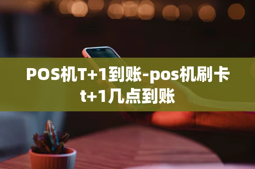 重庆POS机T+1到账-pos机刷卡t+1几点到账-第1张图片-点点富足