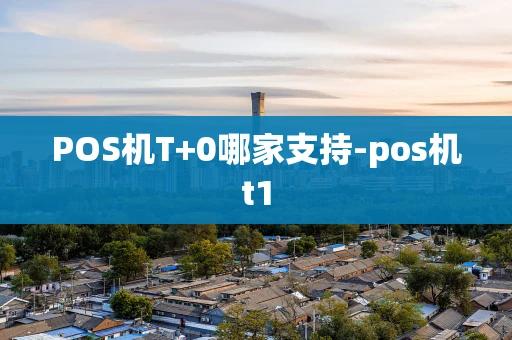 重庆POS机T+0哪家支持-pos机t1-第1张图片-点点富足