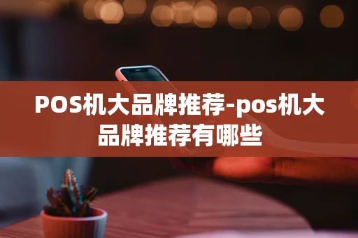 重庆POS机大品牌推荐-pos机大品牌推荐有哪些-第1张图片-点点富足 重庆POS机大品牌推荐-pos机大品牌推荐有哪些-第1张图片-点点富足