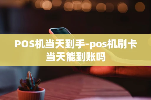 重庆POS机当天到手-pos机刷卡当天能到账吗-第1张图片-点点富足