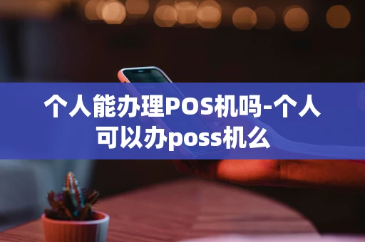 重庆个人能办理POS机吗-个人可以办poss机么-第1张图片-点点富足
