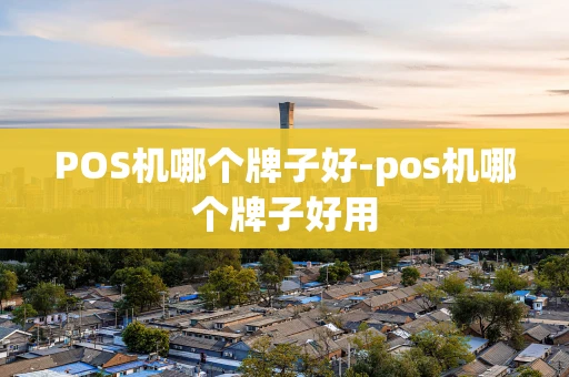重庆POS机哪个牌子好-pos机哪个牌子好用-第1张图片-点点富足