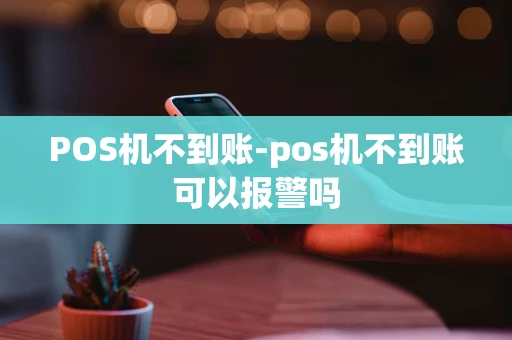 重庆POS机不到账-pos机不到账可以报警吗-第1张图片-点点富足