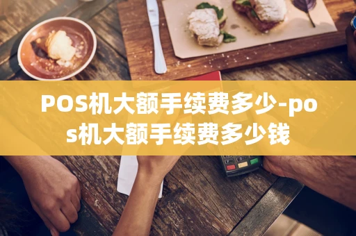 重庆POS机大额手续费多少-pos机大额手续费多少钱-第1张图片-点点富足