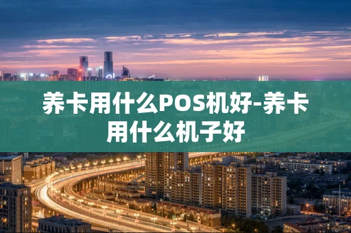 重庆养卡用什么POS机好-养卡用什么机子好-第1张图片-点点富足 重庆养卡用什么POS机好-养卡用什么机子好-第1张图片-点点富足