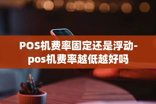 重庆POS机费率固定还是浮动-pos机费率越低越好吗-第1张图片-点点富足 重庆POS机费率固定还是浮动-pos机费率越低越好吗-第1张图片-点点富足