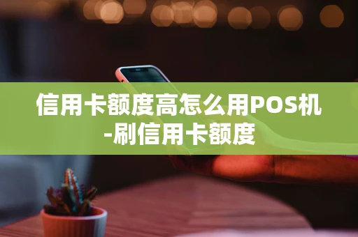 重庆信用卡额度高怎么用POS机-刷信用卡额度-第1张图片-点点富足 重庆信用卡额度高怎么用POS机-刷信用卡额度-第1张图片-点点富足