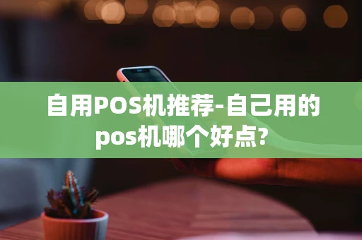 重庆自用POS机推荐-自己用的pos机哪个好点?-第1张图片-点点富足 重庆自用POS机推荐-自己用的pos机哪个好点?-第1张图片-点点富足