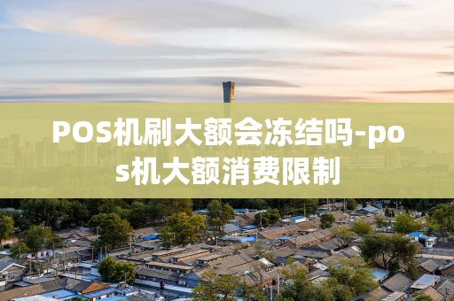 重庆POS机刷大额会冻结吗-pos机大额消费限制-第1张图片-点点富足 重庆POS机刷大额会冻结吗-pos机大额消费限制-第1张图片-点点富足