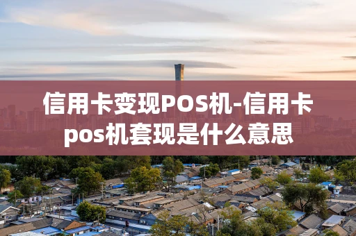 重庆信用卡变现POS机-信用卡pos机套现是什么意思-第1张图片-点点富足