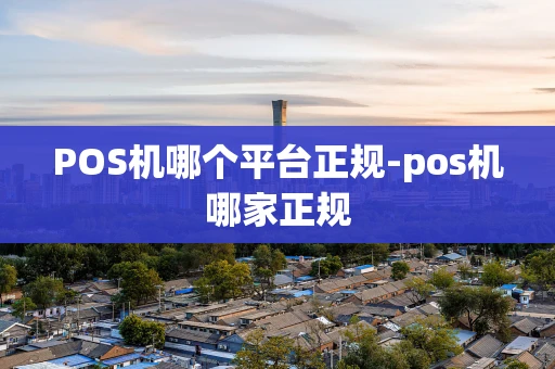 重庆POS机哪个平台正规-pos机哪家正规-第1张图片-点点富足