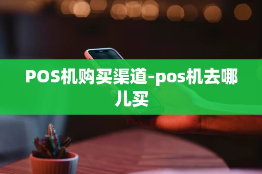 重庆POS机购买渠道-pos机去哪儿买-第1张图片-点点富足 重庆POS机购买渠道-pos机去哪儿买-第1张图片-点点富足