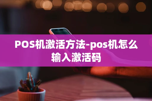 重庆POS机激活方法-pos机怎么输入激活码-第1张图片-点点富足 重庆POS机激活方法-pos机怎么输入激活码-第1张图片-点点富足