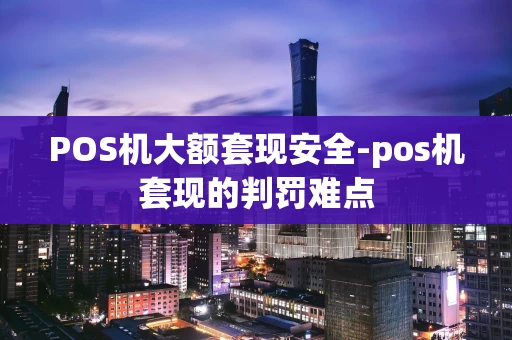 重庆POS机大额套现安全-pos机套现的判罚难点-第1张图片-点点富足