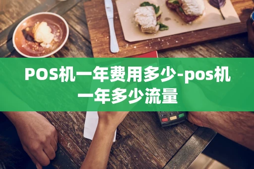 重庆POS机一年费用多少-pos机一年多少流量-第1张图片-点点富足