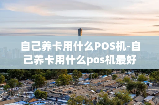 重庆自己养卡用什么POS机-自己养卡用什么pos机最好-第1张图片-点点富足