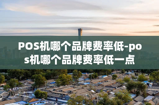 重庆POS机哪个品牌费率低-pos机哪个品牌费率低一点-第1张图片-点点富足