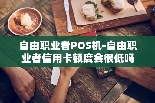 重庆自由职业者POS机-自由职业者信用卡额度会很低吗-第1张图片-点点富足 重庆自由职业者POS机-自由职业者信用卡额度会很低吗-第1张图片-点点富足